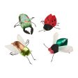 Spot Buzzing Insects Cat Toy Assorted, 1ea 5 in Online