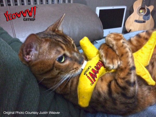 Yeowww! Banana Catnip Cat Toy Yellow 1ea 7 in Online now