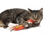 Petstages Green Magic Dynamite Catnip Toy Red 1ea One Size Online Sale