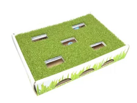 Petstages Grass Patch Hunting Box Cat Toy White, Green 1ea One Size Hot on Sale