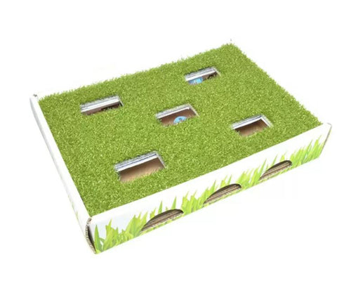 Petstages Grass Patch Hunting Box Cat Toy White, Green 1ea One Size Hot on Sale