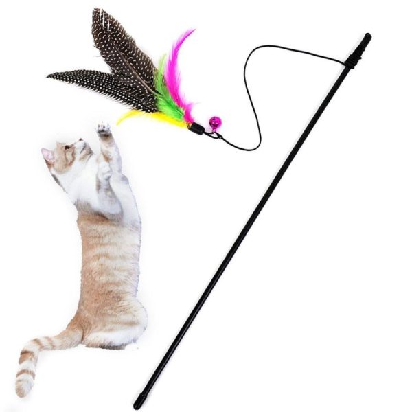 Spot Feather Dangler Teaser Wand Cat Toy Multi-Color 18 in Sale