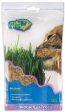 OurPets Kitty Herbs Growable Cat Grass 1ea 5 oz Supply