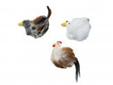 Spot Birds of a Feather Catnip Toy Assorted 6 in Online now