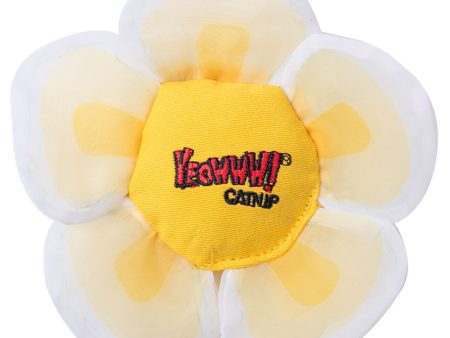 Yeowww! Cat Catnip Daisy Flower Tops White For Sale