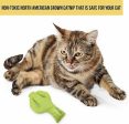 OurPets Cosmic Prickles Cactus Catnip Toy Green 1ea Fashion