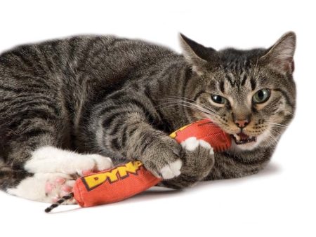 Petstages Green Magic Dynamite Catnip Toy Red 1ea One Size Online Sale