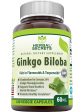 Herbal Secrets, Ginkgo Biloba, 60 mg, 120 Veggie Capsules Online Hot Sale