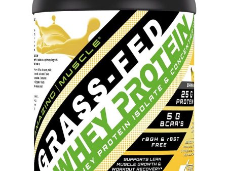 Amazing Muscle, Grass-Fed Whey Protein, Banana, 2 lbs Online now